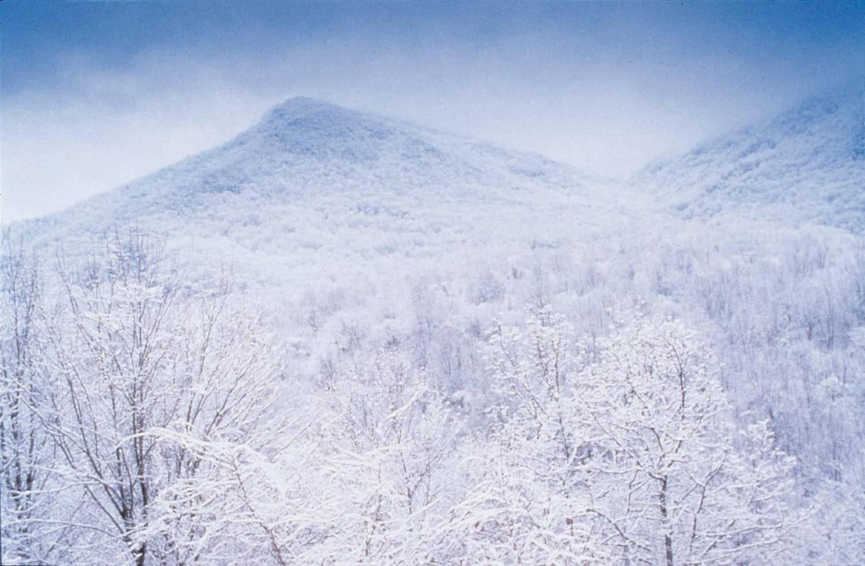 Club Wyndham Smoky Mountains Hotell Sevierville Exteriör bild